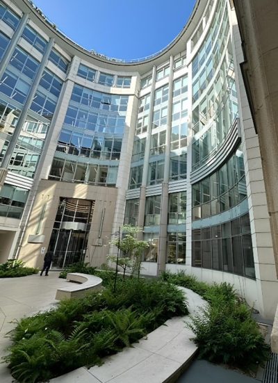 immeuble-bureaux-paris-renovation-vitrages